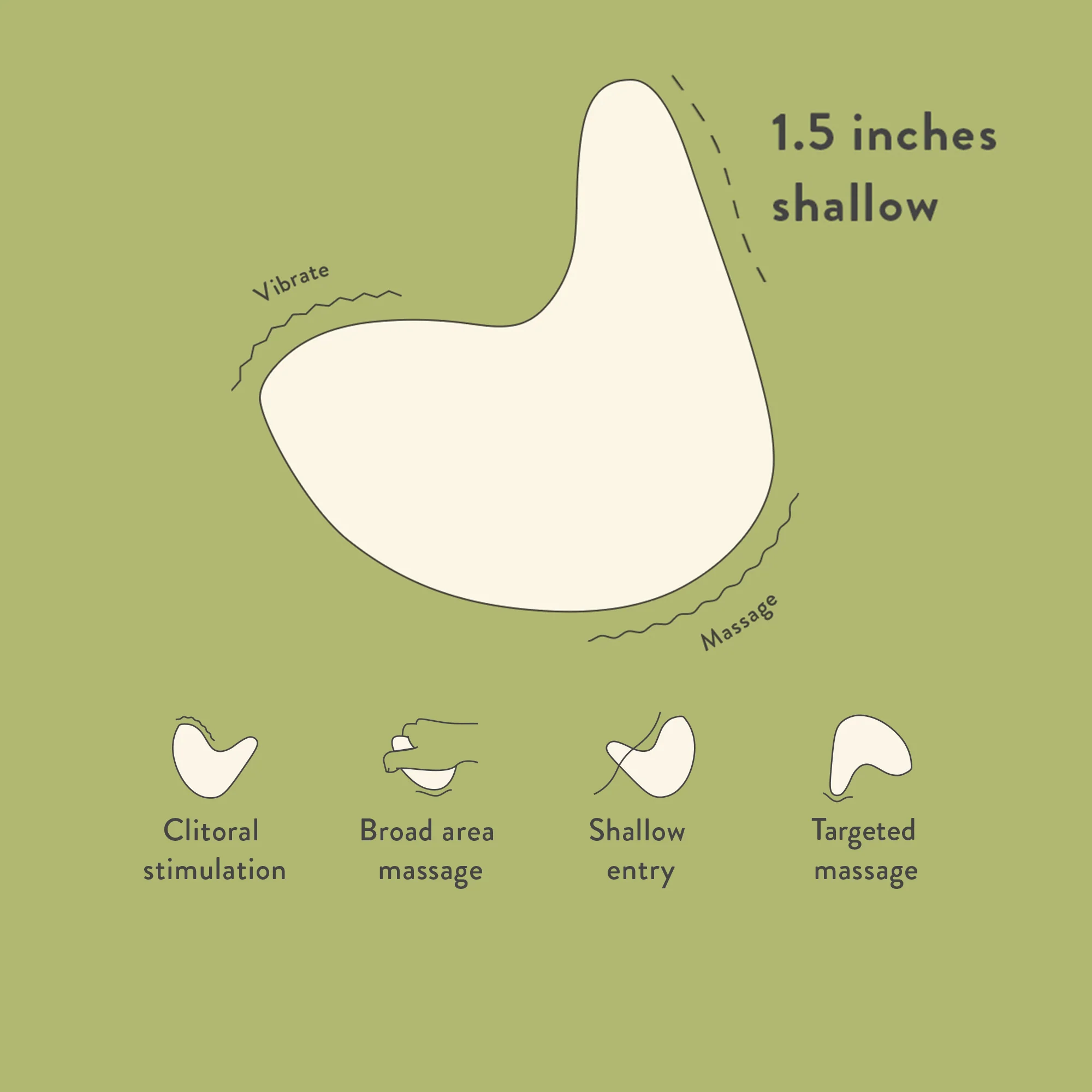 Kiwi - Image 6