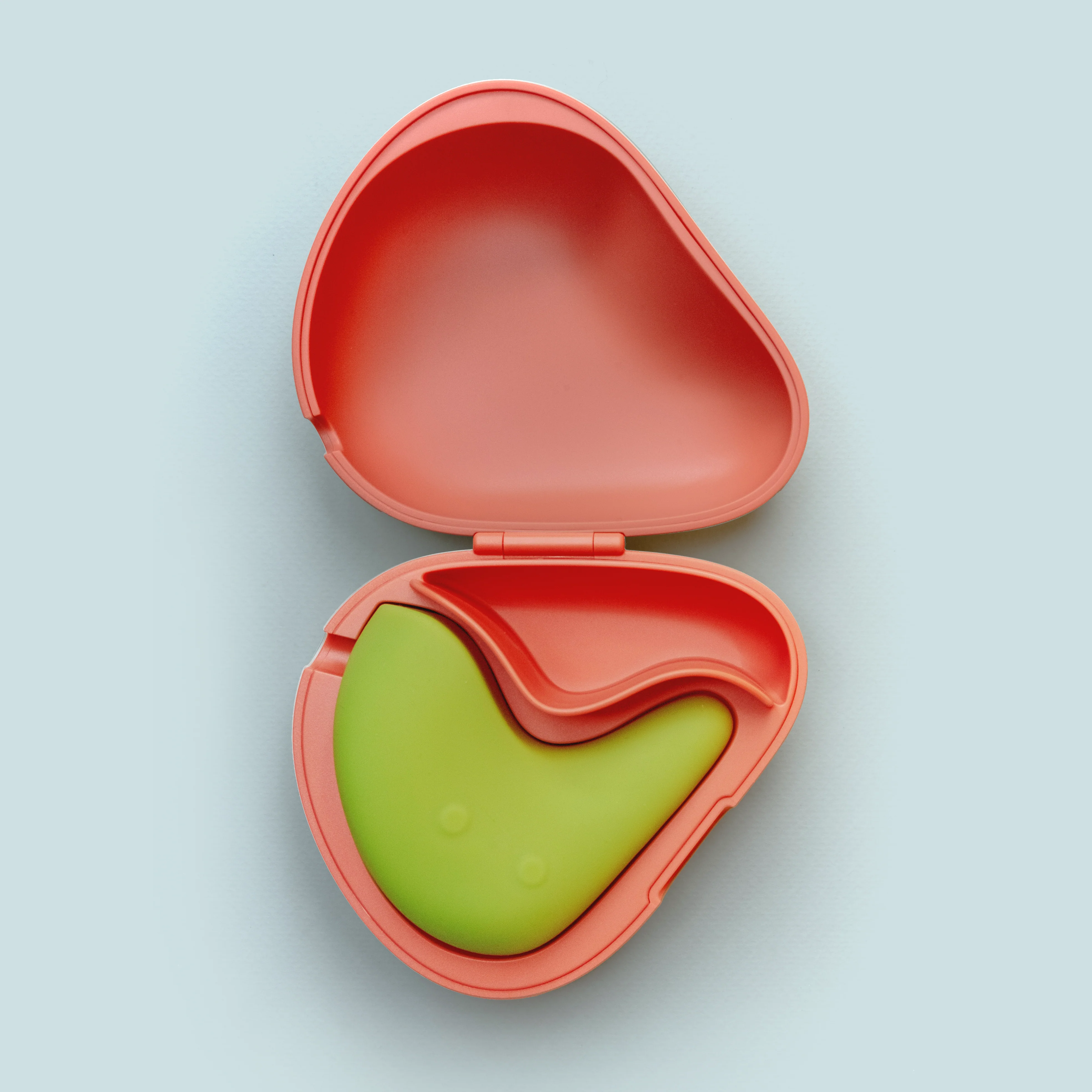 Kiwi Storage Case - Image 5